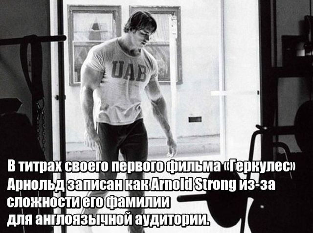 По секрету о Шварценеггере