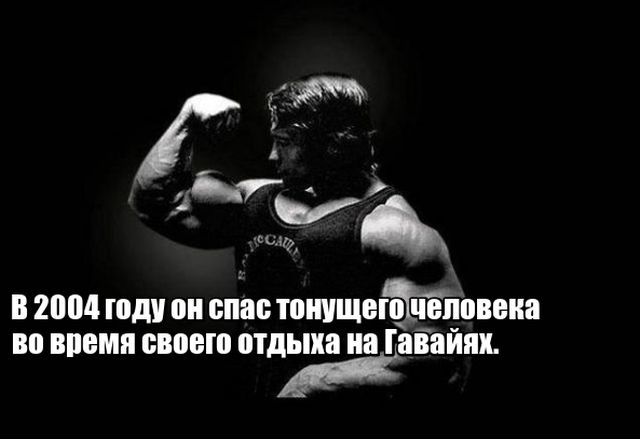 По секрету о Шварценеггере