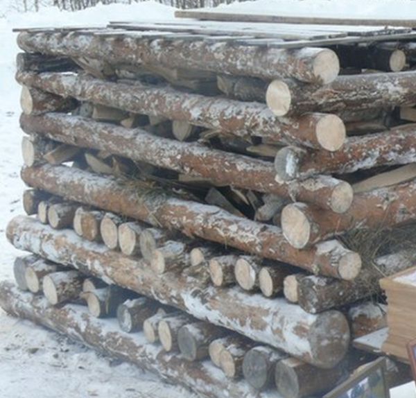 Язычники выполнили последнюю волю умершего
