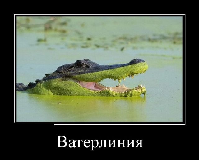Демотиваторы