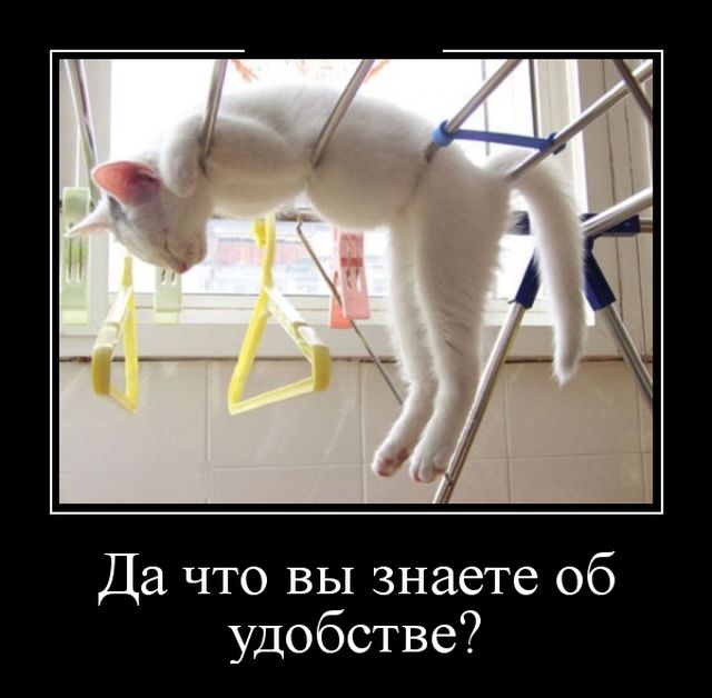 Демотиваторы