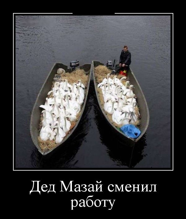 Демотиваторы