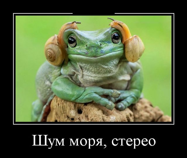Демотиваторы