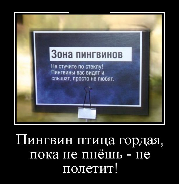 Демотиваторы