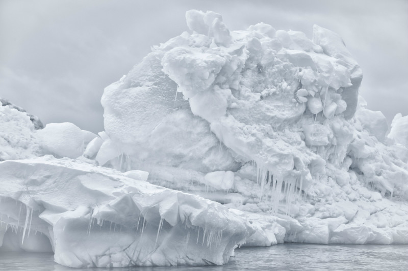 Лучшие кадры Sony World Photography Awards 2018 Лучшие кадры Sony World Photography Awards 2018