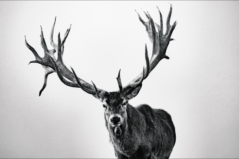 Лучшие кадры Sony World Photography Awards 2018 Лучшие кадры Sony World Photography Awards 2018