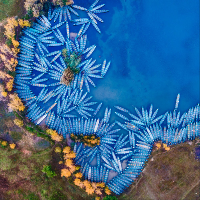 Лучшие кадры Sony World Photography Awards 2018 Лучшие кадры Sony World Photography Awards 2018