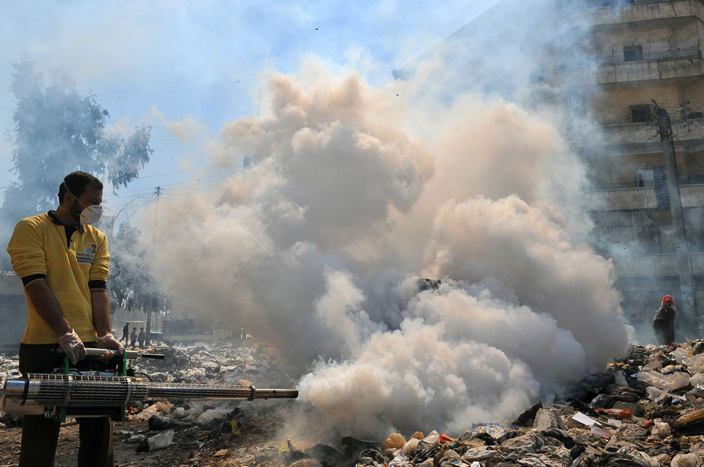 Сирия сегодня: руины древних городов