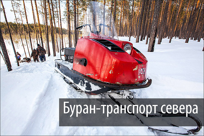 Буран – трудяга русского Севера