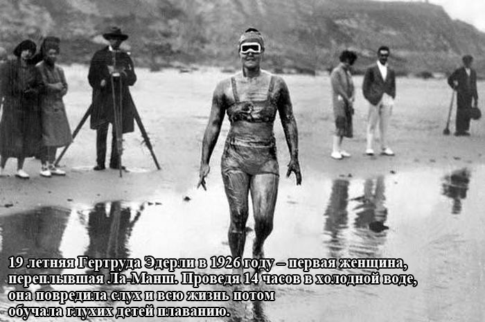 Порция картинок