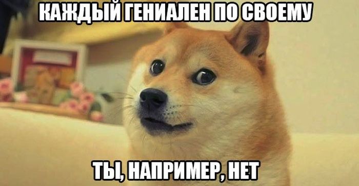 Порция картинок