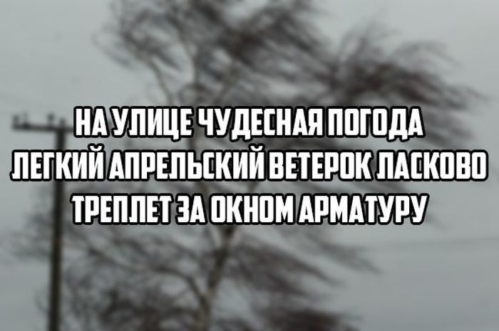 Порция картинок