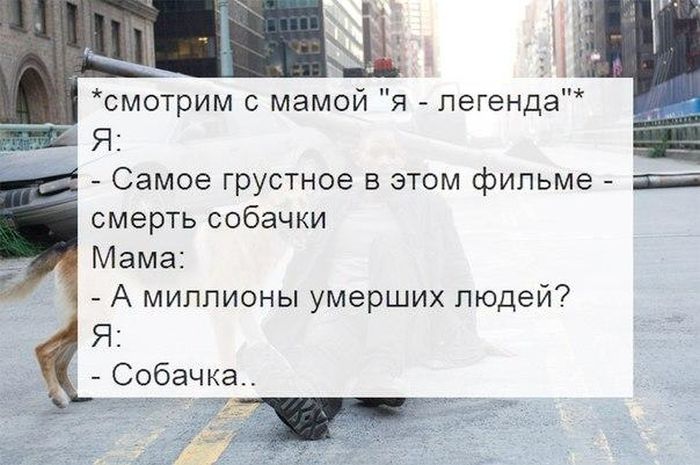 Порция картинок