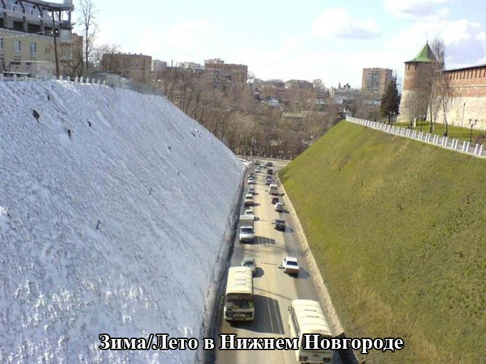 Порция картинок