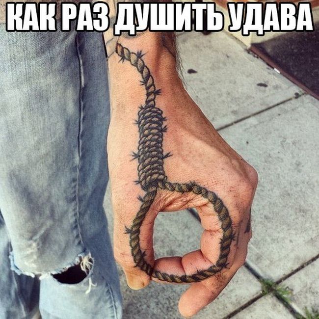 Порция картинок
