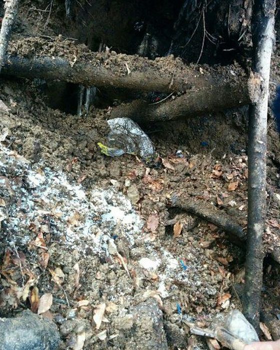 В Дагестане обнаружили блиндаж боевиков