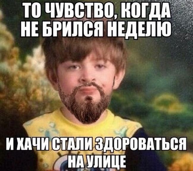Прикольные картинки