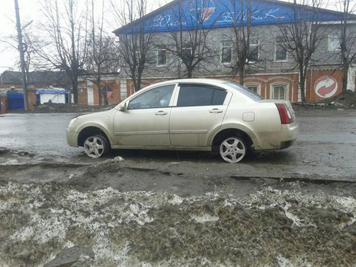 Прикольные картинки