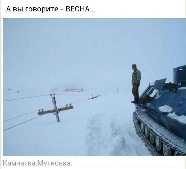 Прикольные картинки