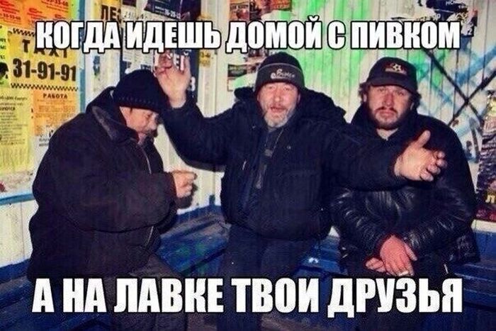 Прикольные картинки