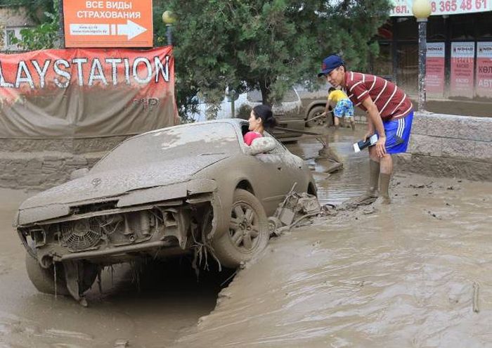 Прикольные картинки