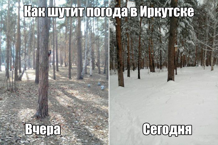 Прикольные картинки