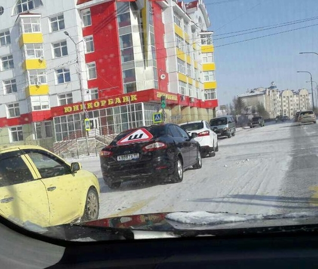 Прикольные картинки