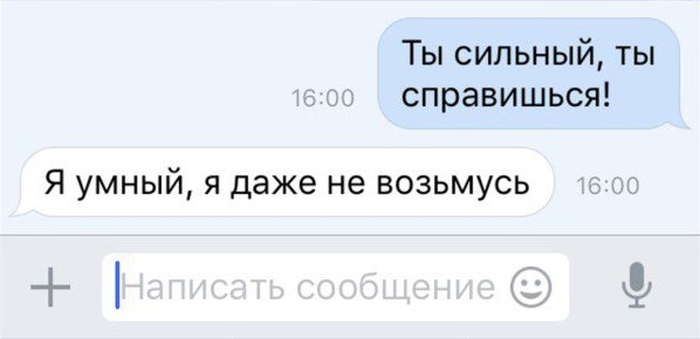 Прикольные картинки