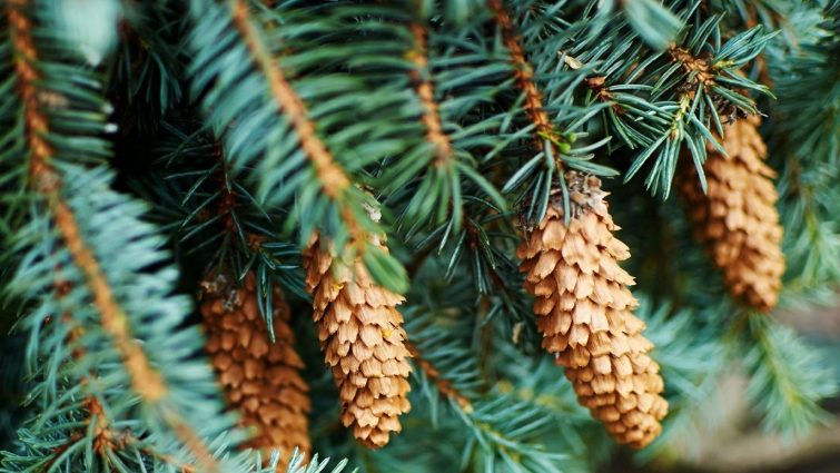 15 фактов, которые буквально перевернут ваш мир