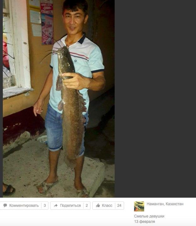 Будничная дичь из одноклассников