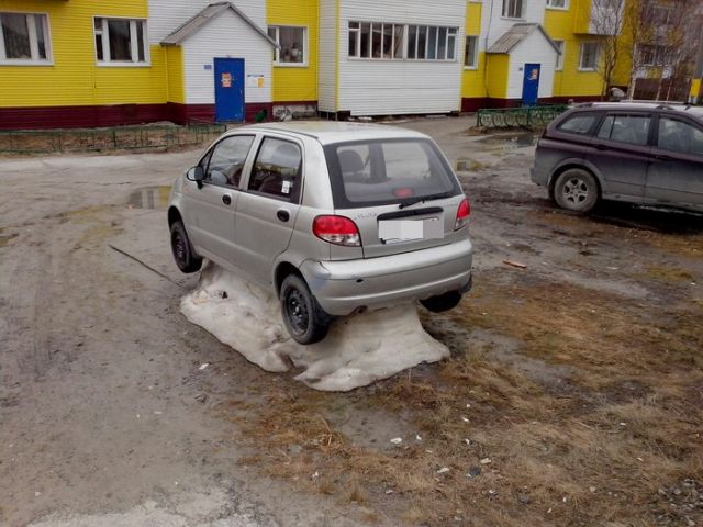 Прикольные картинки