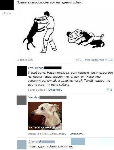 Прикольные картинки