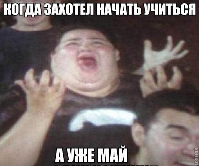 Порция картинок
