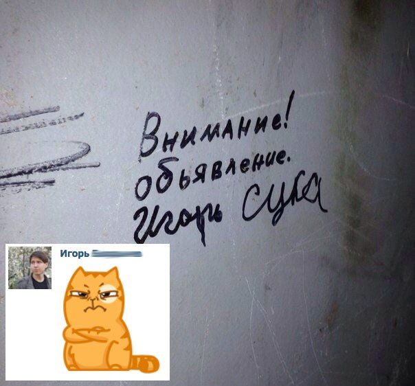 Порция картинок