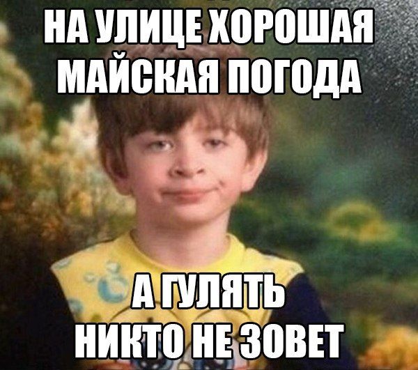 Порция картинок
