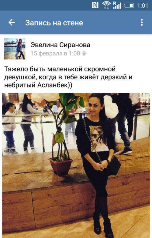 Порция картинок