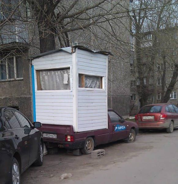 Прикольные картинки