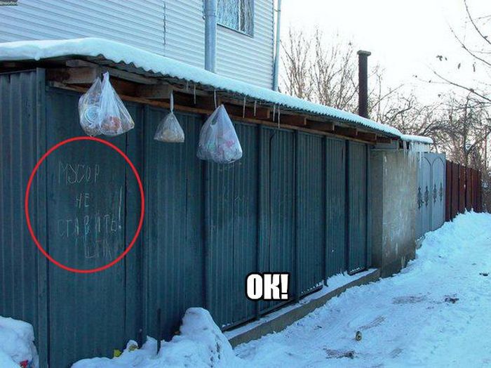 Прикольные картинки
