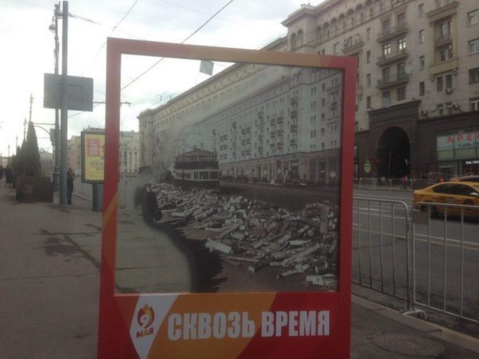 Прикольные картинки