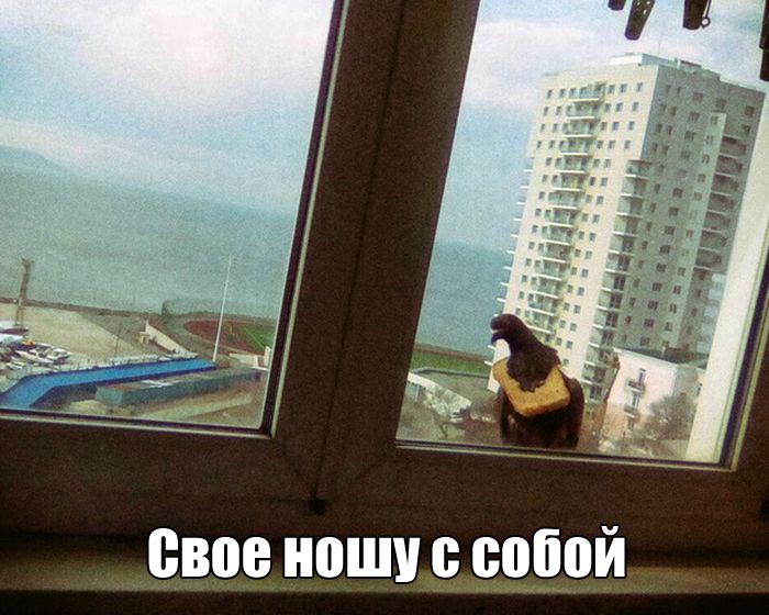 Прикольные картинки