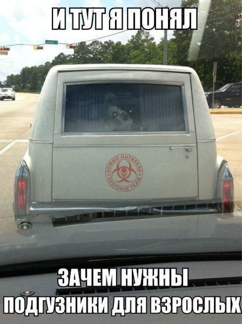 Актуальный автомобильный юмор