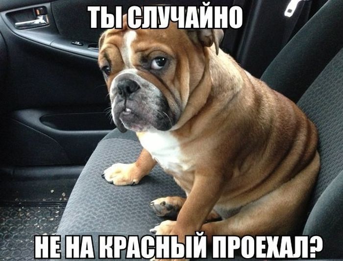 Актуальный автомобильный юмор
