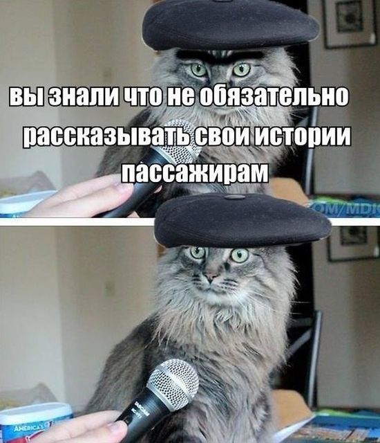 Актуальный автомобильный юмор