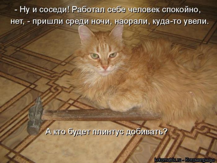 Лучшие котоматрицы недели