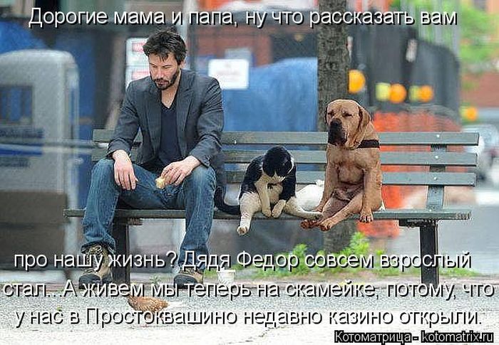 Лучшие котоматрицы недели