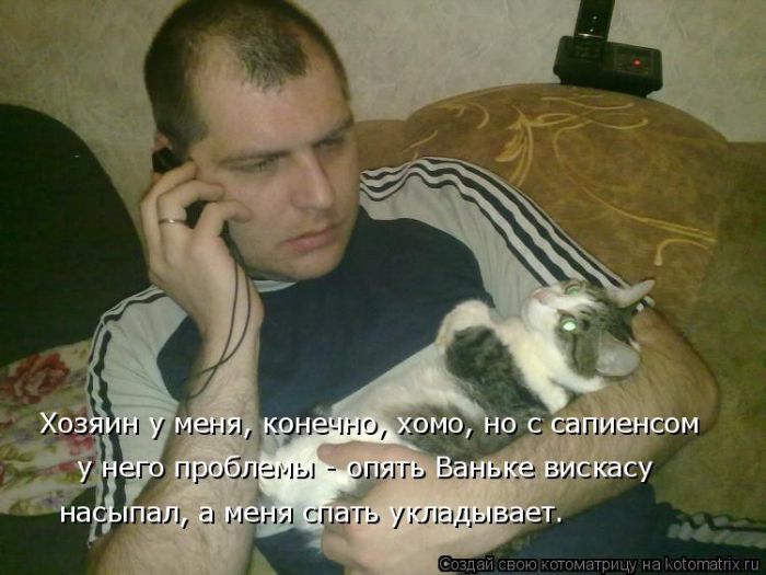 Лучшие котоматрицы недели