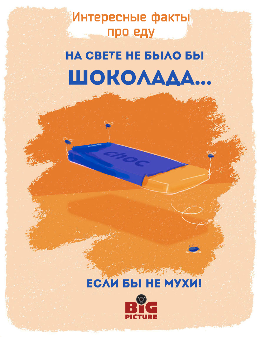 Необычные факты про еду Необычные факты про еду