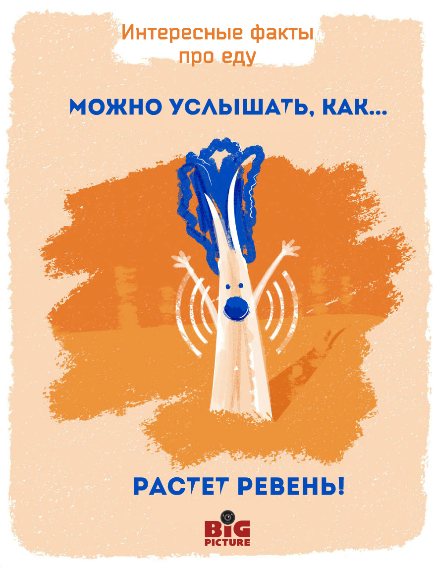 Необычные факты про еду Необычные факты про еду