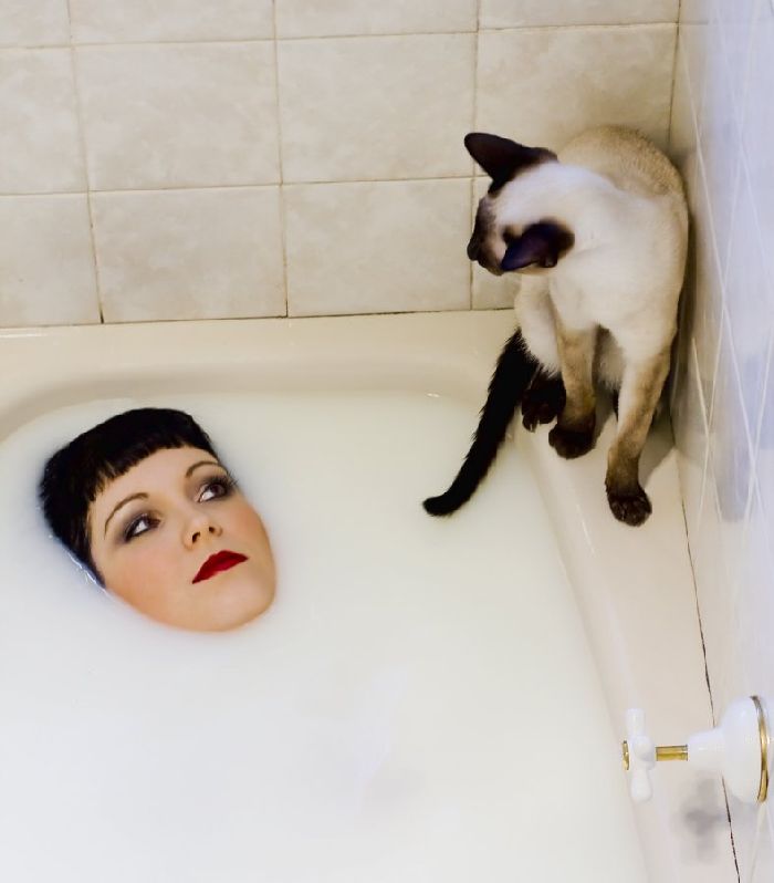 Прикольные картинки