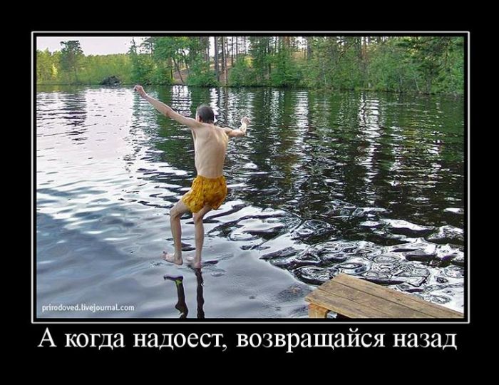 Демотиваторы